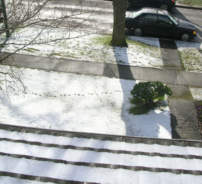bluecar_snow.jpg