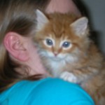 Blue Eyes!