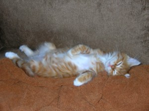 He's always had strange sleeping poses