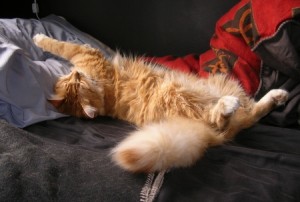 Rigor Mortis!