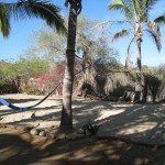 img_1239 Volleyball Court