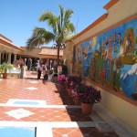img_1269 Todos Santos