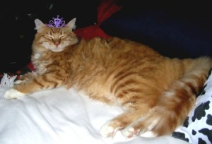 Princess Henry