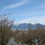 springtime1