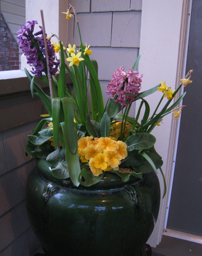 springtime6