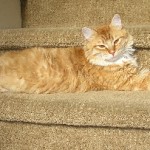 Squishy Sunbathes!