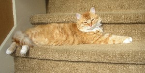 Squishy Sunbathes!