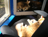 window One of his favourite spots