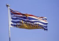 bc_flag
