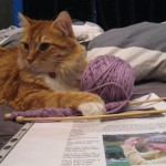 Permalink to No Knitting. Pay attention to ME! henry_calorimetry