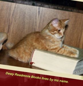 dewey readmore books cat
