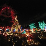 Permalink to Festival of Lights at VanDusen Gardens vandusen1