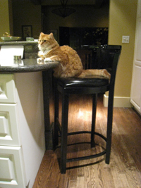 henry_counter2
