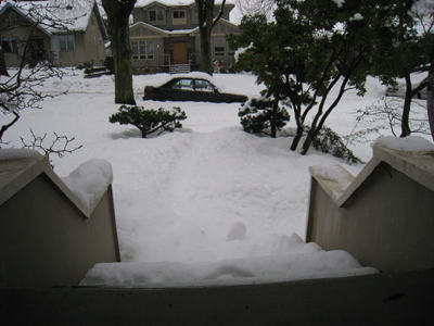 snow-car-gone snow-car-gone