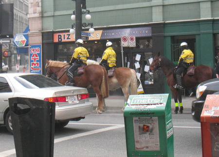 rcmp-horses