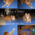 henry_exercises
