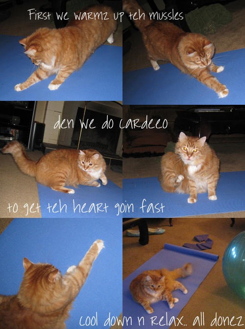 henry_exercises henry_exercises