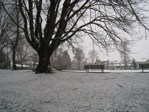 marchsnow1 marchsnow1