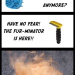 Permalink to Fun Fur brushing-henry-comic