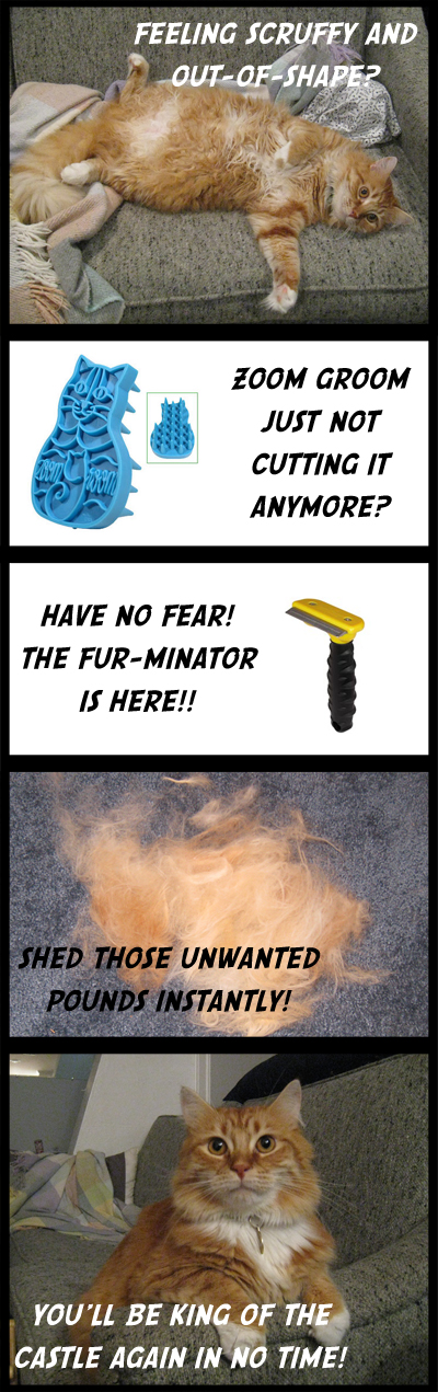 brushing-henry-comic