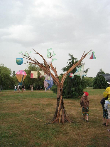 illuminares5