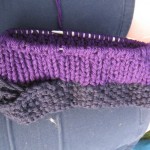 Permalink to Birthday Knitting robinshat_bonnie3