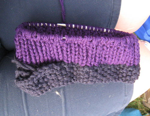 robinshat_bonnie3 robinshat_bonnie3