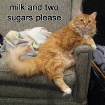 Permalink to Sophisticated Kitty henry-tea-time