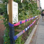 Permalink to Yarn Bombing yarnbombing1