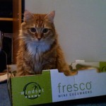 Permalink to Cardboard Box Bed henry-cucumber1