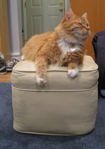 ottoman_throne1