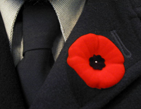 poppy