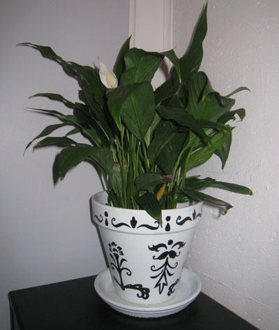 baroque_peace_lily