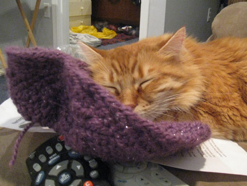 Henry, my cat, snuggling with handknitted cowl