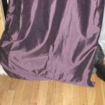 Permalink to Dogs on Thursday from across the Pond Oscar, the dog, sulks behind the curtain