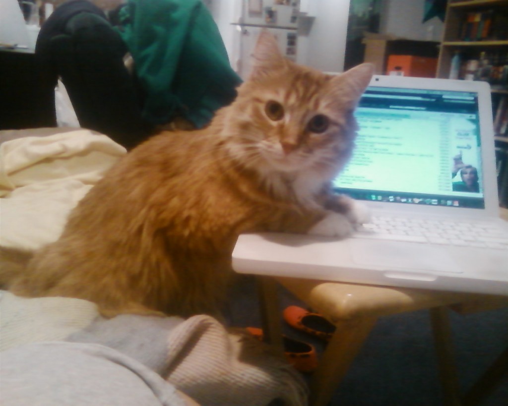 henry-laptop