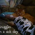 Henry, my cat, snuggles with my leg on the couch