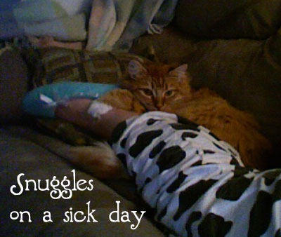 Henry, my cat, snuggles with my leg on the couch