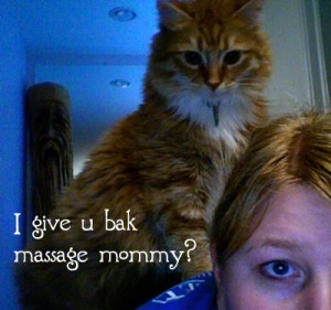 Henry, my cat, tries to give me a back massage