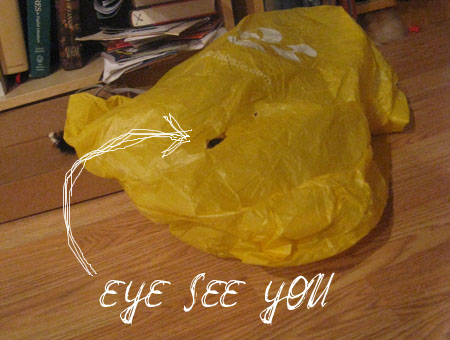 'eye' see you -- cat in a plastic bag 'eye' see you -- cat in a plastic bag