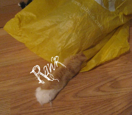 rawr -- cat paw inside a plastic bag rawr -- cat paw inside a plastic bag