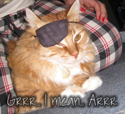 Grrr... I mean Arrr... I'm I pirate Grrr... I mean Arrr... I'm I pirate