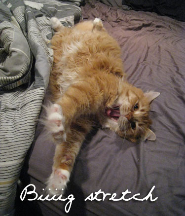Biiiiig stretch Biiiiig stretch