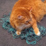 Permalink to Crafty Mojo Yarn-winding disaster