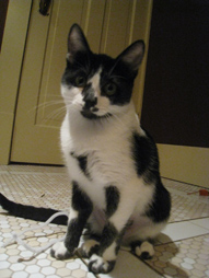 Georgi sitting in the bathroom
