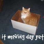 Henry sitting in a box