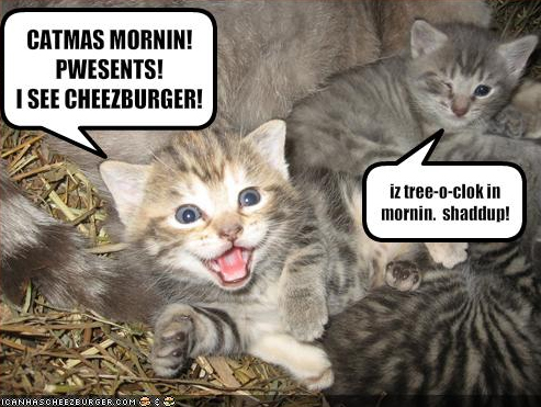 Catmas Morning (courtesy of LOLcatz)