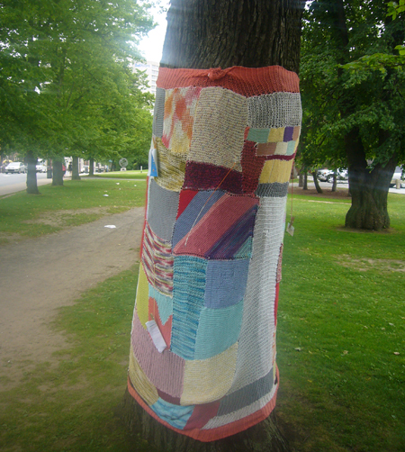 Yarn Bombing in Halifax
